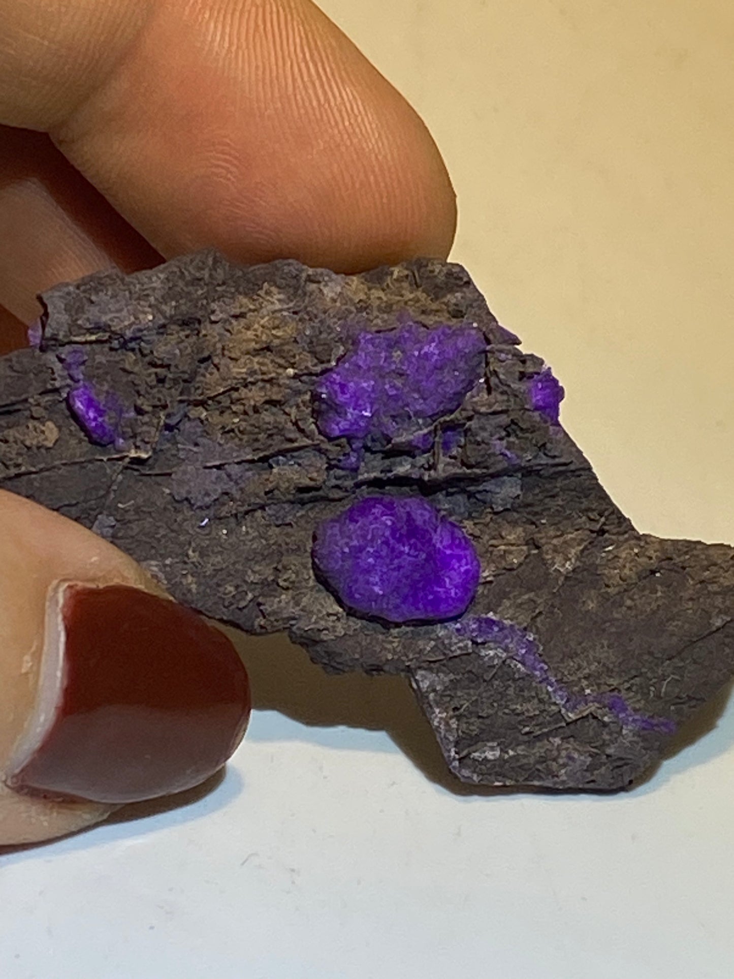 Sugilite