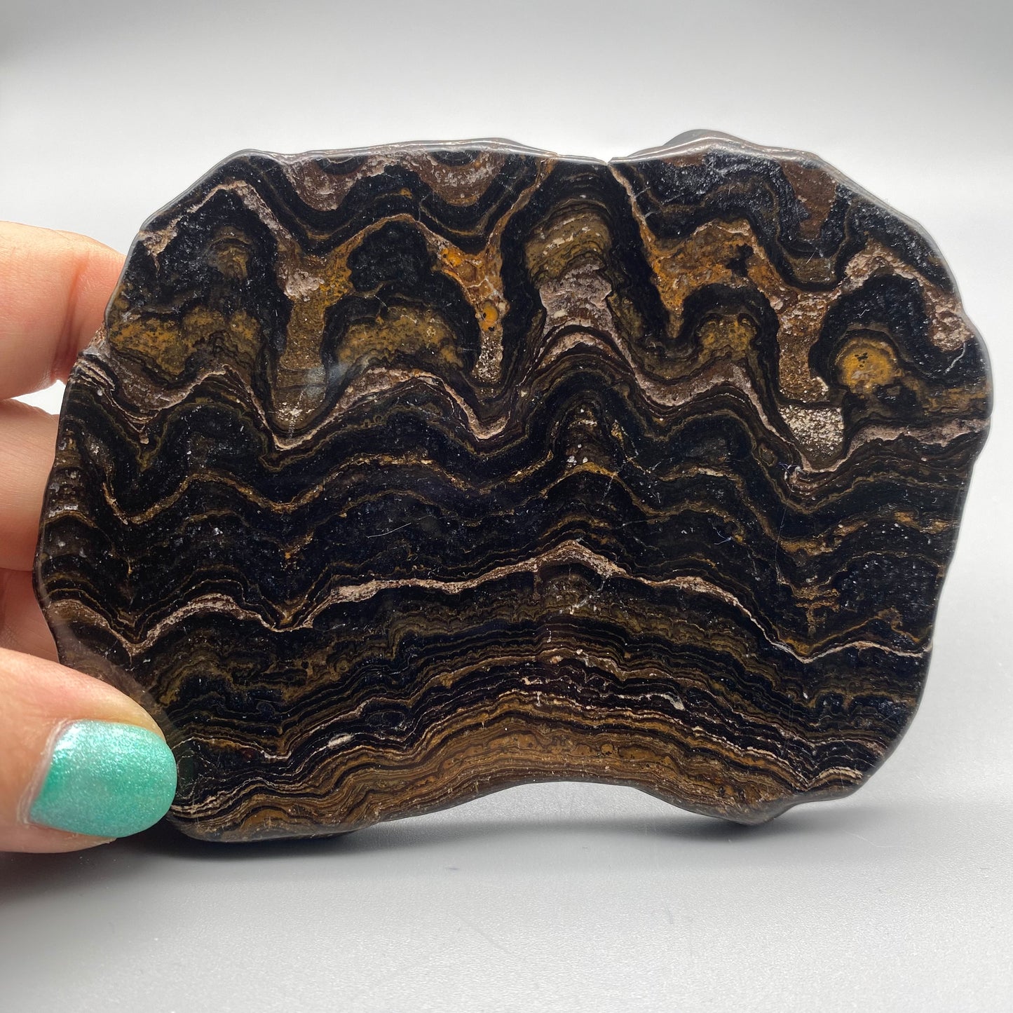 Stromatolite