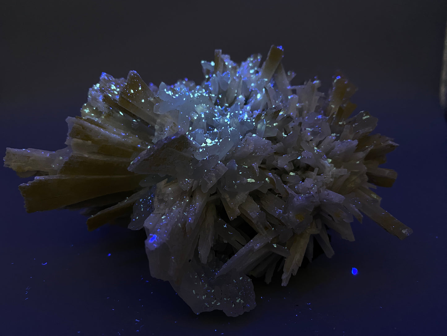 Pseudomorfosi di anidrite in quarzo