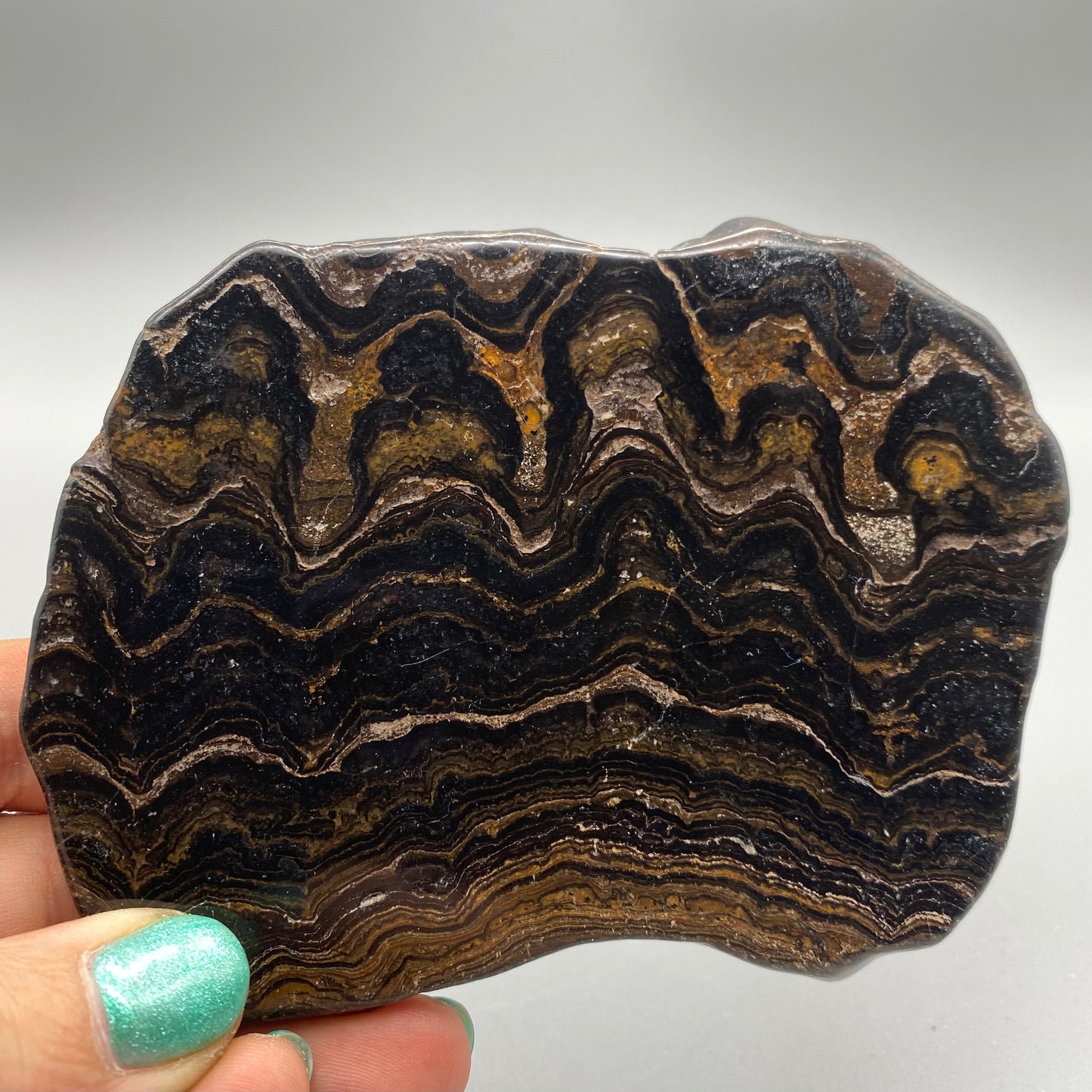 Stromatolite