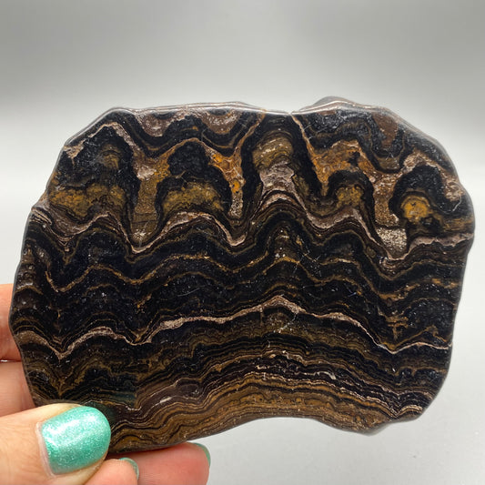 Stromatolite